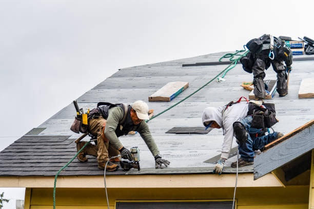 Professional Storm Damage Roof Repair technician working in Luxemburg, IA